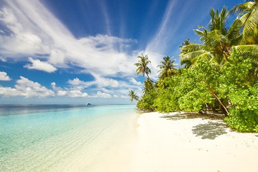 Serunya Paket Tour Lombok 1 Hari dengan Loka Trip