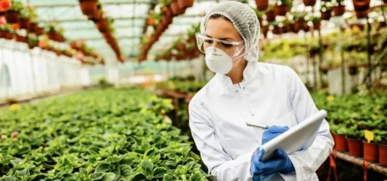 Siapa Sangka Jurusan Ini Diam-Diam Punya Peluang Karier Luas di Masa Depan?